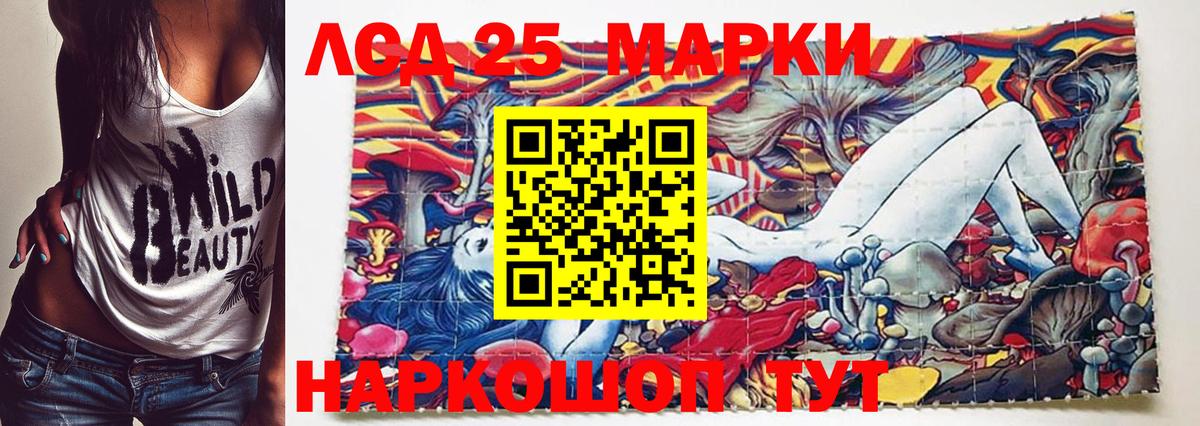 МЕФ Королёв