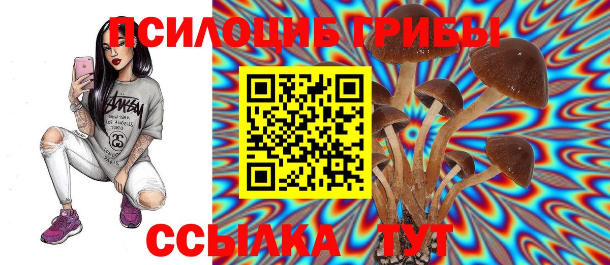 Королёв  Галлюциногенные грибы MAGIC MUSHROOMS  Псилоцибиновые грибы Magic Shrooms  Вход с VPN 